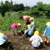 KODAK Digital Still Camera