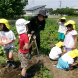 KODAK Digital Still Camera