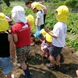 KODAK Digital Still Camera