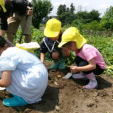 KODAK Digital Still Camera