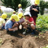 KODAK Digital Still Camera