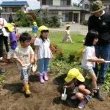 KODAK Digital Still Camera