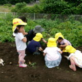 KODAK Digital Still Camera