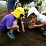 KODAK Digital Still Camera