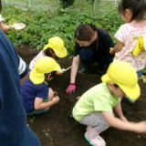 KODAK Digital Still Camera