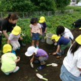 KODAK Digital Still Camera