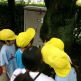 KODAK Digital Still Camera