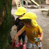 KODAK Digital Still Camera