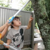 KODAK Digital Still Camera