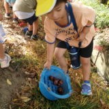 KODAK Digital Still Camera