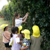 KODAK Digital Still Camera