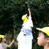 KODAK Digital Still Camera