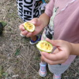 KODAK Digital Still Camera