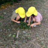 KODAK Digital Still Camera