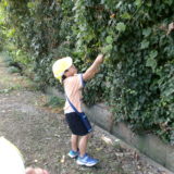 KODAK Digital Still Camera