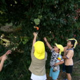 KODAK Digital Still Camera