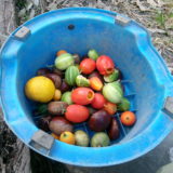 KODAK Digital Still Camera