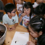 KODAK Digital Still Camera