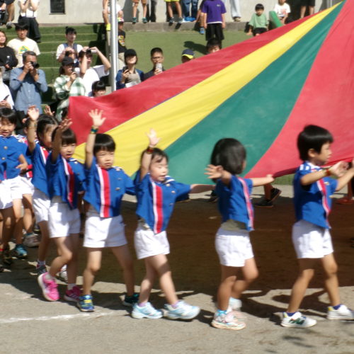 KODAK Digital Still Camera