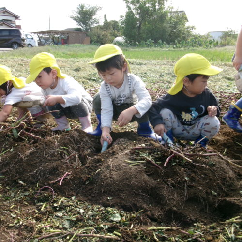 KODAK Digital Still Camera