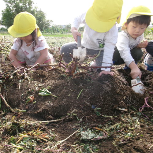 KODAK Digital Still Camera