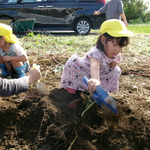 KODAK Digital Still Camera