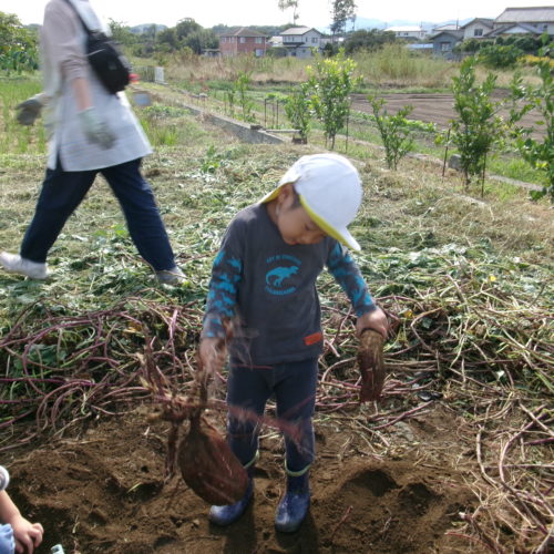 KODAK Digital Still Camera