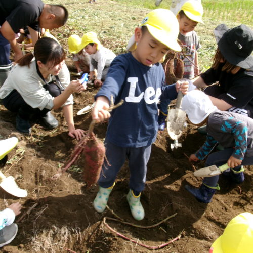 KODAK Digital Still Camera