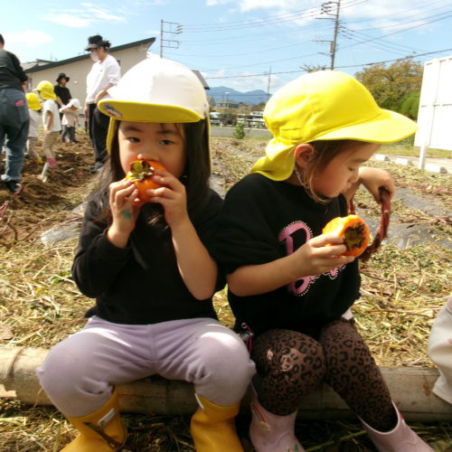 KODAK Digital Still Camera