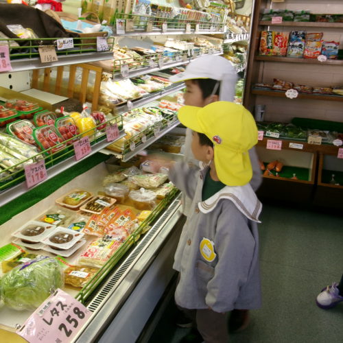 KODAK Digital Still Camera