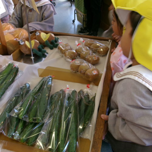 KODAK Digital Still Camera