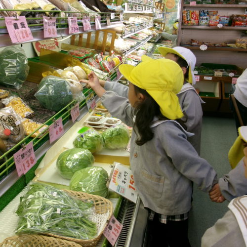 KODAK Digital Still Camera