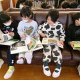 KODAK Digital Still Camera